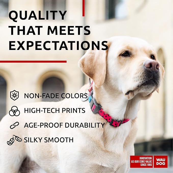 WAUDOG Nylon Dog Collar - Adjustable Dog Collar for Large Dogs, Small & Medium Dogs - Breakaway Puppy Collars for Large Breed Dogs - Boy & Girl Dog Collars with Durable Plastic Buckle and QR Dog Tag