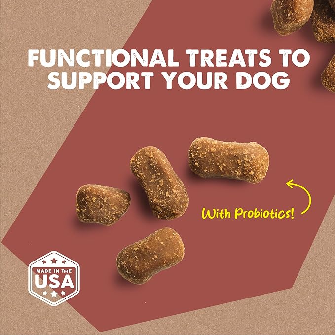 Cloud Star Dynamo Dog Tummy Treats – Soft & Chewy Probiotics Support for Dogs (14 oz. Pumpkin and Ginger) (20212)