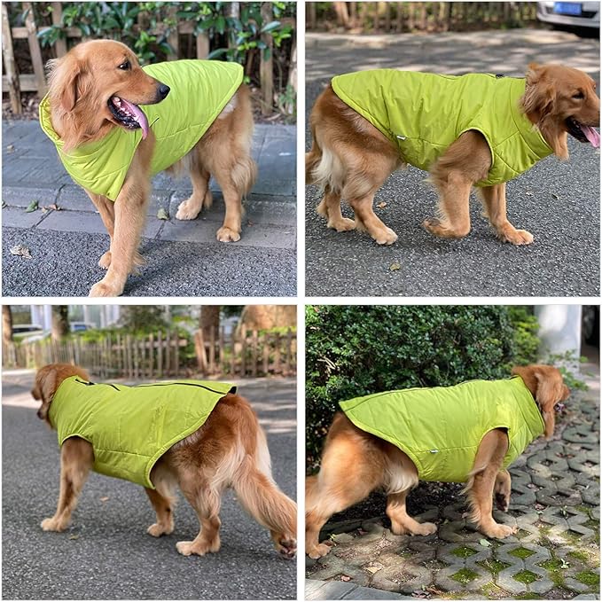 PetSafe Winter Vest with Cotton Lining, Waterproof Ultra Warm Dog Coat, Windproof Zippered Jacket, Breathable Soft Coat for Small, Medium, Large Dogs - Green