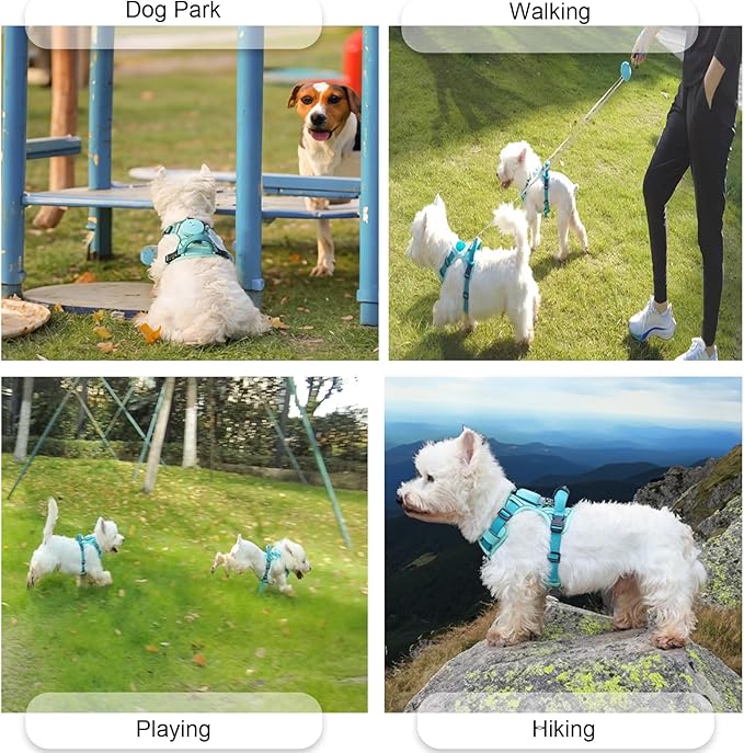 Dog Harness for Small Dogs up to 16lbs, 3-in-1 No Pull Lightweight Harness with 6.6ft Retractable,Wearable Leash,Front Clip,Handle,Reflective Dog Vest with Patch,Wrist Strap,Free Hand Leash-Blue (XXS)