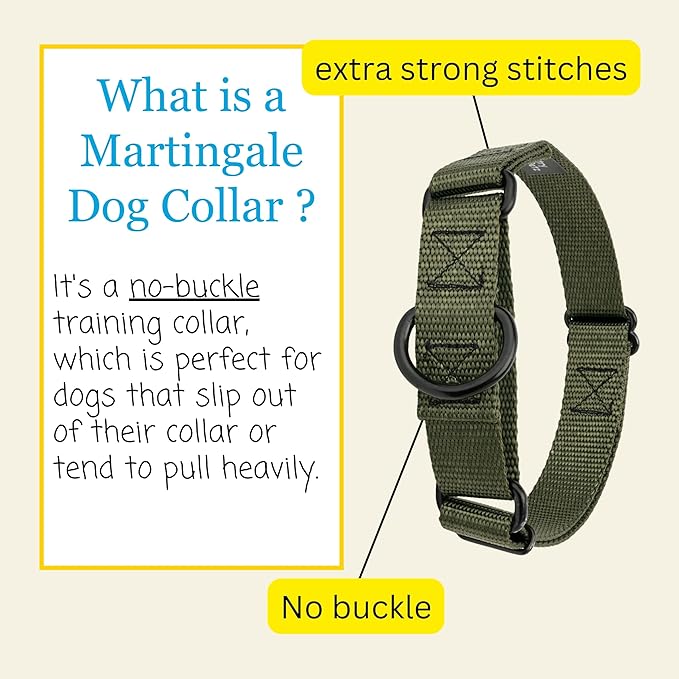 Country Brook Petz Martingale Dog Collar - Heavy-Duty Training Collar with No Buckle - Service Dog Collar for All Pups - Vibrant, Colorful Collection (Dark Olive Drab, 3/4 Inch, Small)