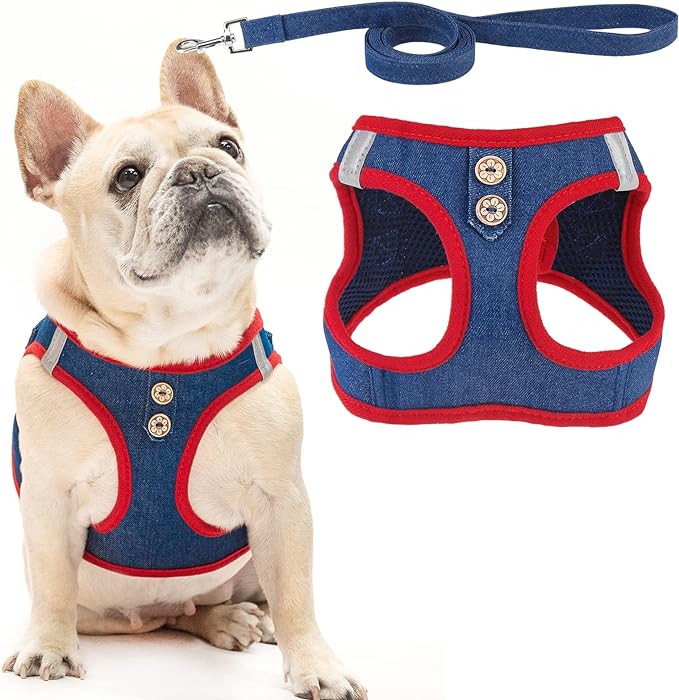 PUPTECK Dog Harness and Leash Set for Small Medium Dogs No Pull Step-in Soft Mesh Puppy Cat Vest Harnesses Reflective at Night, Denim NavyBlue L