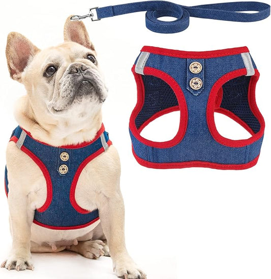 PUPTECK Dog Harness and Leash Set for Small Medium Dogs No Pull Step-in Soft Mesh Puppy Cat Vest Harnesses Reflective at Night, Denim NavyBlue XS