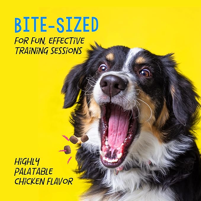 Crazy Dog Mini Train-Me! Training Treats 10 oz. Pouch, Chicken Flavor, with 500 Treats per Bag, Recommended by Dog Trainers