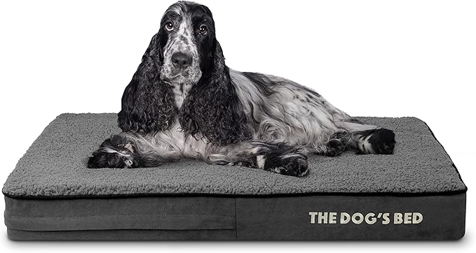 The Dog’s Bed Orthopedic Memory Foam Dog Bed, Dark Grey Plush Medium 34x22, Pain Relief for Arthritis, Hip & Elbow Dysplasia, Post Surgery, Lameness, Supportive, Calming, Waterproof Washable Cover