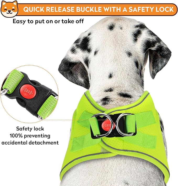 Dog Harness with Leash Set, No-Pull Step-in Reflective Pet Harness with 1 Leash Clips, Adjustable Soft Padded Easy Walk Dog Vest for Small Medium Large Dogs, Cats(Fluorescent, Large)
