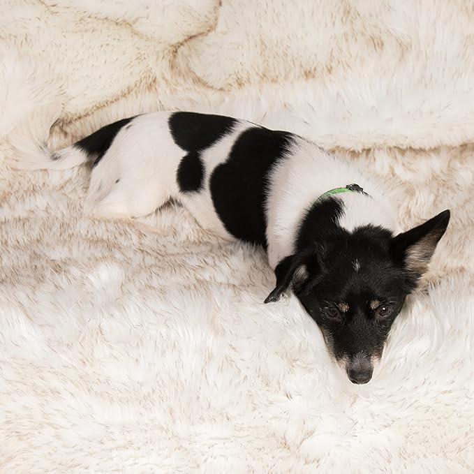 Waterproof Faux Fur Dog Blanket - Waterproof Dog Blanket for Bed, Couch or Dog Crate - White [50"x60"]