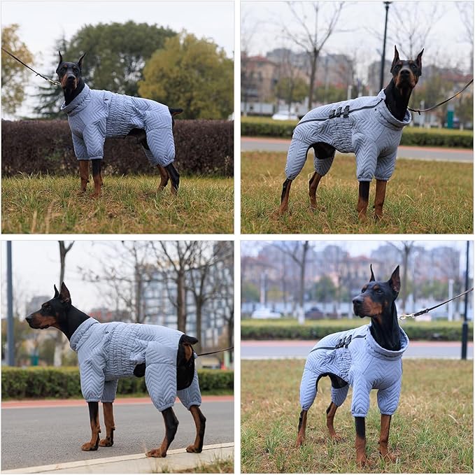 Lovelonglong Warm Dog Coat Double Layers Vest, 4 Legs Covered Windproof Waterproof Reflective Outdoor Skating Costume for Corgis Dachshund Gray D-M