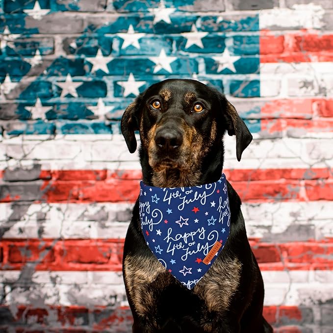 ADOGGYGO American Flag Dog Bandana, White Blue 4th of July Flag Pet Scarf, Premium Durable Fabric, Adjustable Fit 4th of July Bandanas for Medium Large Dogs Pets (Large)