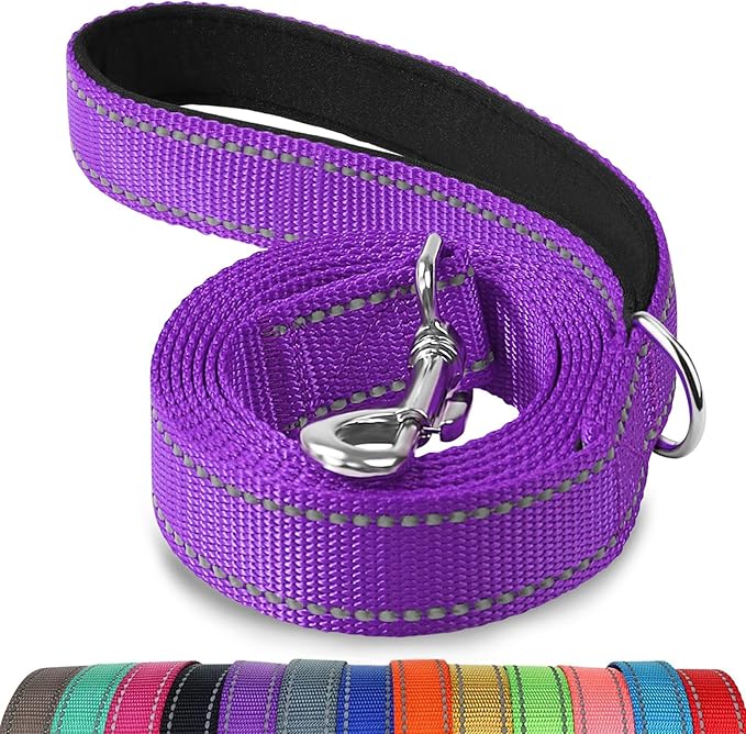 Joytale Double-Sided Reflective Dog Leash, 6 FT/5 FT/4 FT, Padded Handle Nylon Heavy Duty Leashes for Medium & Large Dogs Walking, Purple, 4FT