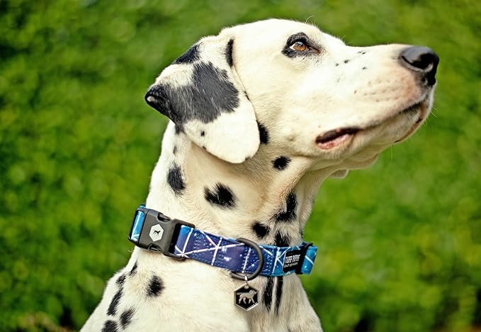 Tuff Pupper Premium Adjustable Dog Collar for Small Girl Dogs, Stylish Pattern Collars Designed in USA, Quick Release Buckle, Supernova Print for Female Dogs, Small (0.7 Inch Wide x 8-12 Inch Neck)