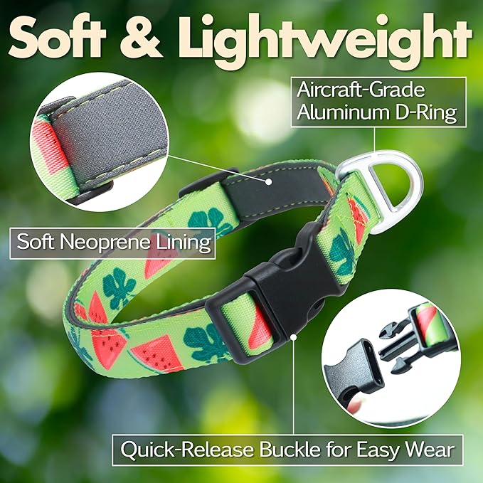 Cute Dog Collar, Summer Watermelon Print Reflective Padded Collar with Soft Neoprene, Adjustable Lightweight Pet Collar for Small Dogs, Puppies,Neck Size 9’’-14’’ (Watermelon, S)