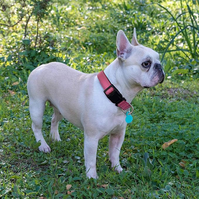 Reflective Dog Collar Padded with Soft Neoprene Breathable Adjustable Nylon Dog Collars for Small Medium Large Dogs (X-Small (Pack of 1), Pink Collar+Leash)