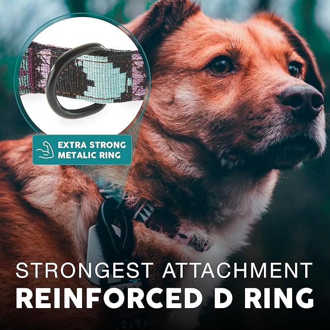 Embark Adventure Dog Collar – Stylish & Durable Nylon Dog Collars for Large Dogs, Comfortable Pet Collar, Collars for Large Breed Dogs with Strong Buckles. Adjustable Big Dog Collars for Large Dogs