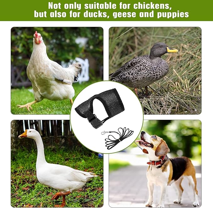 4 Pcs Adjustable Chicken Harness with Leash- 4 Styles Comfortable Hen Vest Breathable Mesh Training Harness and Leash for 2.5-3.6 Lb Duck Goose Hen Small Pets