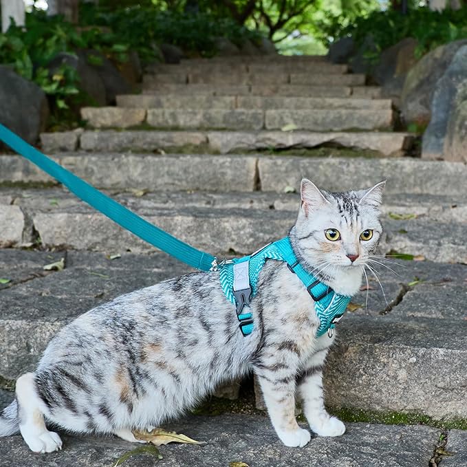 Cat Harness and Leash Escape Proof Medium Kitten Harness Bengal Cat Vest for Walking Travel, Turquoise, M