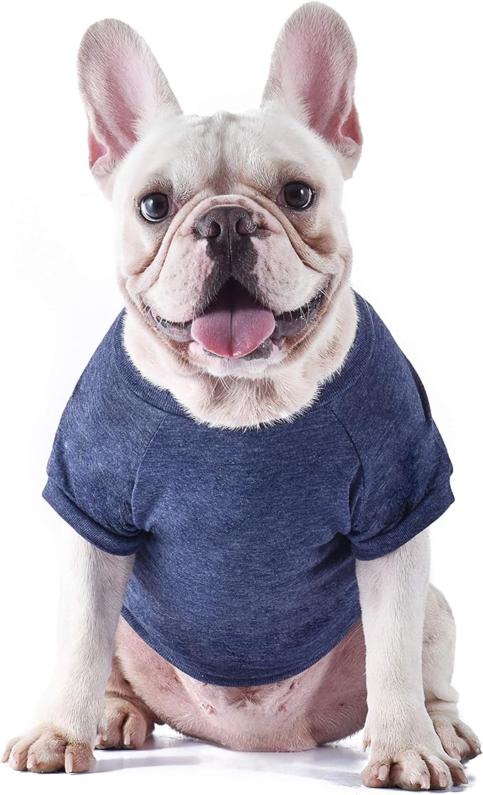 Star Wars for Pets 'This Is How I Roll' Dog Tee | Large Dog Shirt | XX-Large | Soft, Cute, Comfortable Clothing