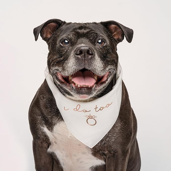 I Do Too Metallic Printed Dog Bandana | 100% Cotton Adjustable Triangle | Wedding Photo Prop | Bridal Shower | Engagement Announcement |Black, Rose Foil (1320)