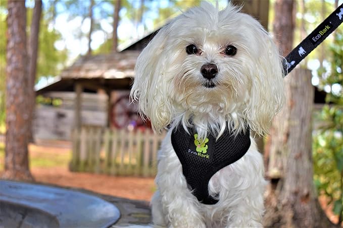 EcoBark Dog Leash - Soft & Reflective Comfort Training Leashes with Padded Handle - Strong Durable Heavy Duty - Training and Pulling for Small, Medium or Large Dogs (Black)