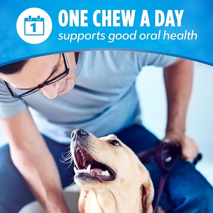 DentaLife Daily Oral Care Dog Treats for Large Dogs 40 plus lbs., Chewy Dental Treat to Freshen Breath and Fight Tartar, Chicken Flavor, 36 oz. each, 30 Chews each/60 Total Chews - 30 ct. Pouch