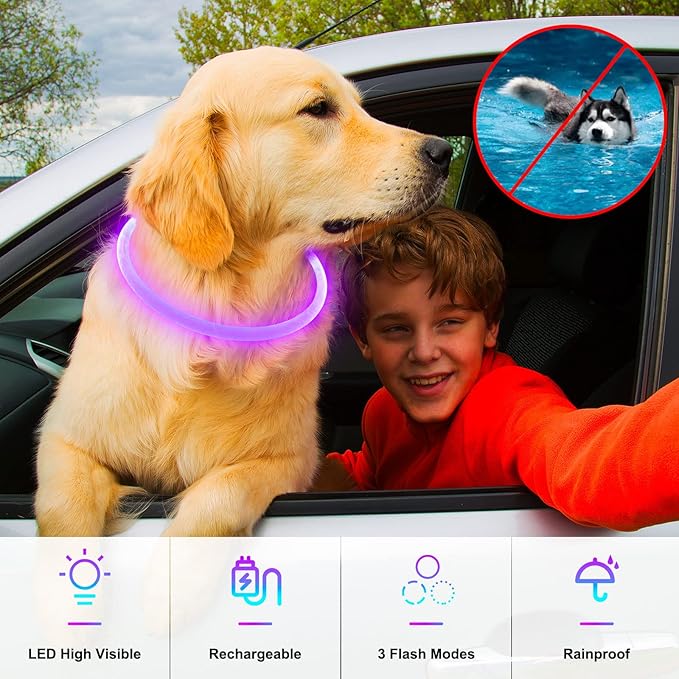 Light Up Dog Collars, Single-Color USB Rechargeable Dlitk LED Dog Collar 1 Count, TPU Cuttable Size Glow Collar for Dogs, Dog Collar Light, Please Do Not Use Fast Charging (Purple)