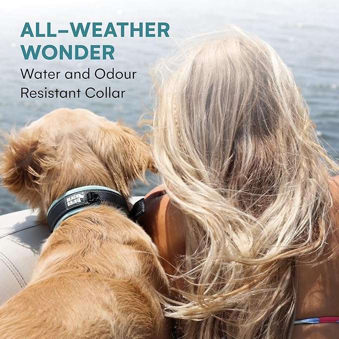 Black Rhino Dog Collar for Large Dogs - Adjustable Reflective Heavy Duty Collar with Ultra-Soft Neoprene Padding - Weatherproof, Durable, and Comfortable - Ideal for Active Dogs - Aqua and Gray