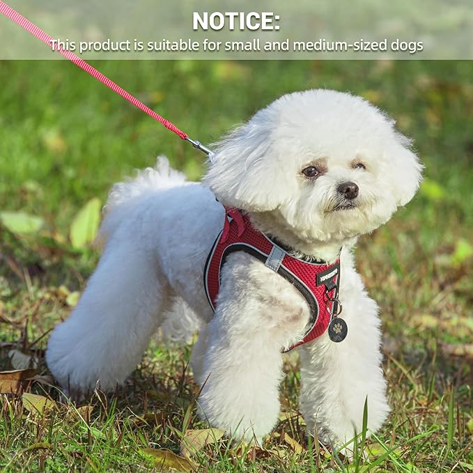 Dog Harness and Leash Set, Dog Harness for Dogs No Pull, No-Chock Step-in Reflective Breathable Lightweight Easy Walk Vest Harnesses with Safety Buckle for Small Medium Dogs, Cats (Red, S)