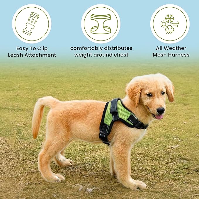 No Pull Reflective Adjustable Dog Harness With Handle- Comfortable Soft All Weather Mesh, Easy On Puppy Harness For Small Medium and Large Dogs (Green) XX-Small