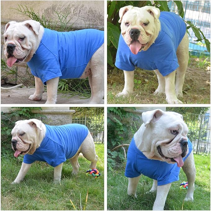 Lovelonglong Pet Clothing Dog Costumes Basic Blank T-Shirt Tee Shirts for Medium Small Dogs Blue XL
