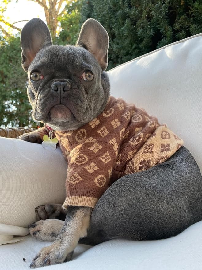 Designer Dog Clothes Sweater Shirt Outfit Small XS Teacup Cute Dogs Puppies French Bulldog Dachshund Chihuahua Cats Maltese Boy Girl (X-Small, Chewypawtton)