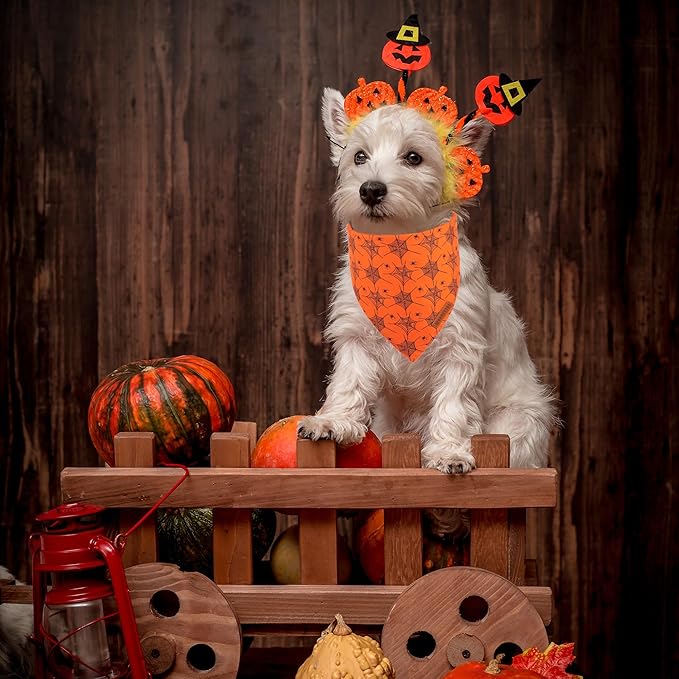ADOGGYGO Halloween Dog Bandana, Spider Web Ghost Pet Scarf, Premium Durable Fabric, Orange Halloween Bandanas for Small Dogs Cats Puppies (Small)