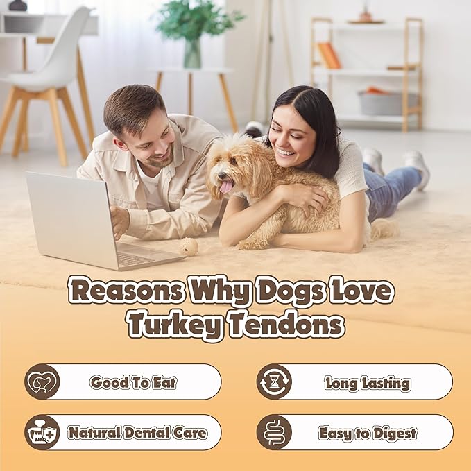 Gootoe Turkey Tendon Dog Treats, Rope (M) 1 lb, 100% USA Sourced Turkey, Natural Snack, Premium Puppy Chews, Hypoallergenic, Rawhide Free, Reseal Value Bag, Sizes for Medium Dogs