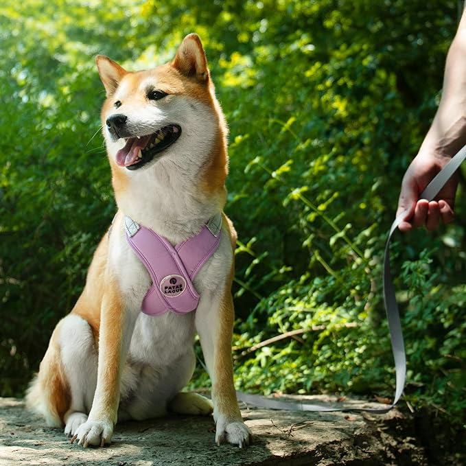 Patas Lague Dog Harness with Leash Set Adjustable Soft Padded Step-in Dog Vest No Choke No Pull Reflective for Small Pets with Poop Bags and Dispenser, Solid and No-chew, Purple XS