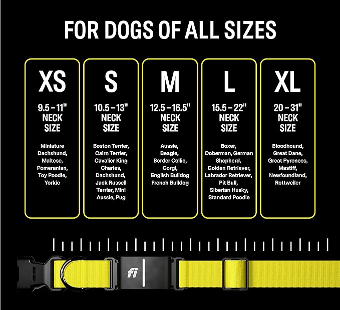 Fi Series 3 Smart Dog Collar - GPS Dog Tracker and Activity & Health Monitor, Waterproof, LED Light, Escape Alerts, Nationwide Coverage [Free 1 Year Membership] (Pink, Medium)