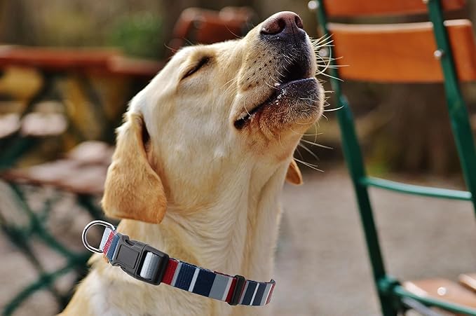 Dog Collar, Cute Multi Stripe Pattern, Soft and Adjustable Collar with Quick Release Buckle (L (Neck 16-28", Width 1"), Rainbow Navy)