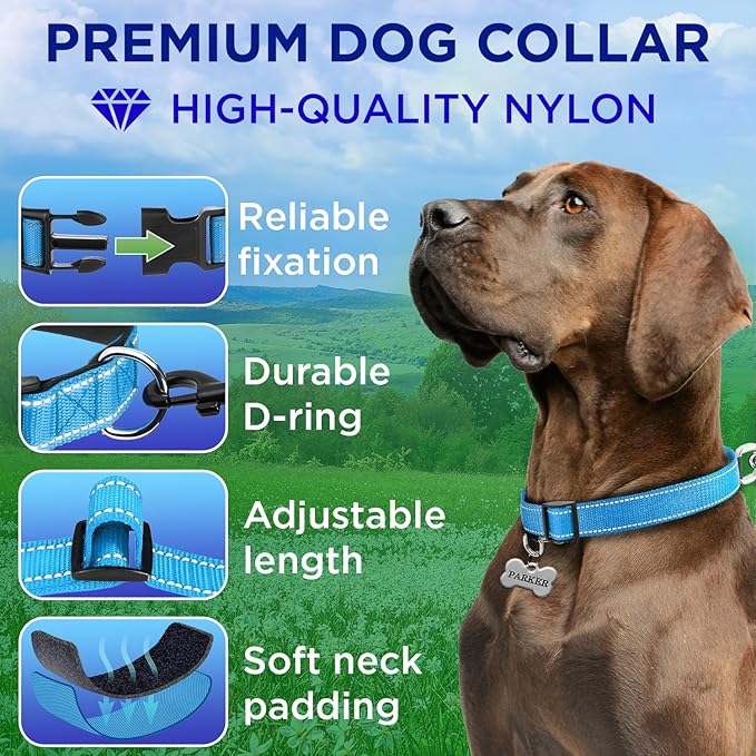 TECEUM Reflective Pet Collar – Sky Blue – XL – Extra Soft Padding – Basic Nylon Dog Collar – Quick Release Buckle – Fits Small, Medium and Large Dogs, Puppies, Cats – ESA & Service Dog Options