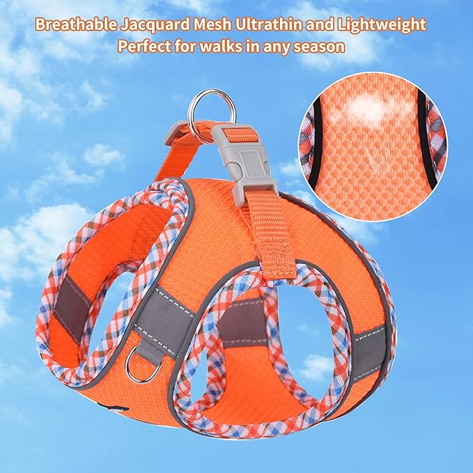 AIITLE XXS Dog Harness & Leash Set - Breathable Reflective No-Choke Small Dog Harness for Teacup Puppies, Indoor/Outdoor Use - Boston Terrier, Maltese, Chihuahua (Orange, XXS)