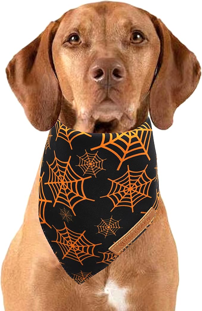 Realeaf Halloween Dog Bandanas 2 Pack, Pumpkin and Spider Web Bibs, Triangle Reversible Fall Pet Scarf, Premium Durable Fabric, Adjustable Fit (Small)