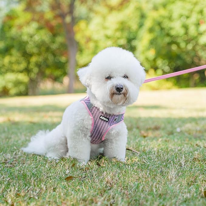 AIITLE No Pull Harness for Small Dogs - Step in Puppy Harness with Super Breathable Mesh, Reflective Adjustable Pet Harness for Outdoor Walking, Training for Small Dogs, Cats Pink XS