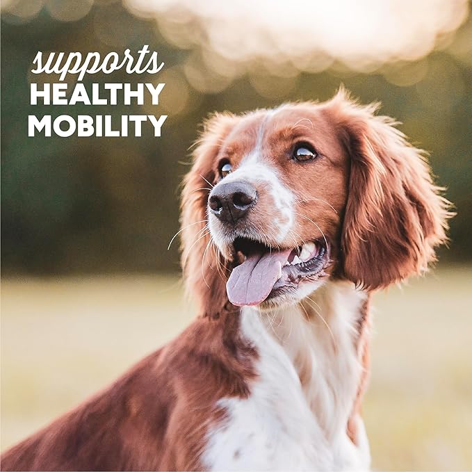 Cloud Star Dynamo Dog Hip & Joint Soft Chew Treats Chicken Formula - Grain Free - 14 oz (20132)