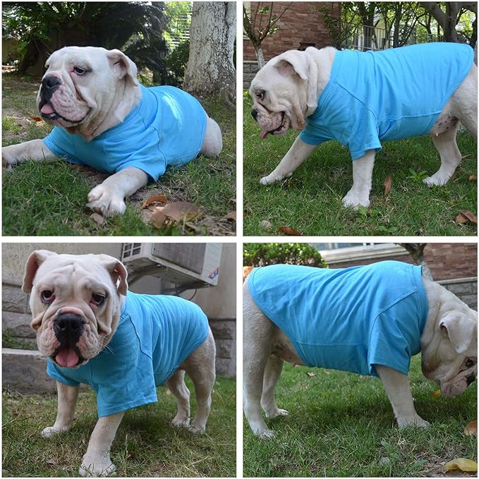 Lovelonglong Pet Clothing Dog Costumes Basic Blank T-Shirt Tee Shirts for Small Dogs Lake-Blue L