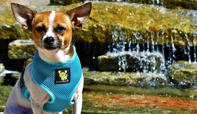 EcoBark Dog Harness - Eco-Friendly Max Comfort Harnesses - Luxurious Soft Mesh Halter - Over The Head Harness Vest- No Pull and No Choke for Puppy, Toy Breeds & Small Dogs (Small, Baby Blue)