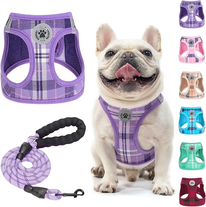 BEAUTYZOO Small Dog Harness and Leash Set, Step in No Choke No Pull Soft Mesh Dog Harnesses Reflective for Extra-Small/Small Medium Puppy Dogs and Cats, Plaid Dog Vest Harness for XS S Pets, Purple L