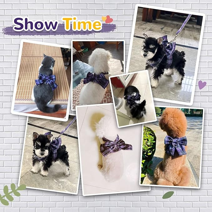 Small Dog Harness with D-Ring, Soft Mesh, Adjustable - Set Includes Harness and Leash