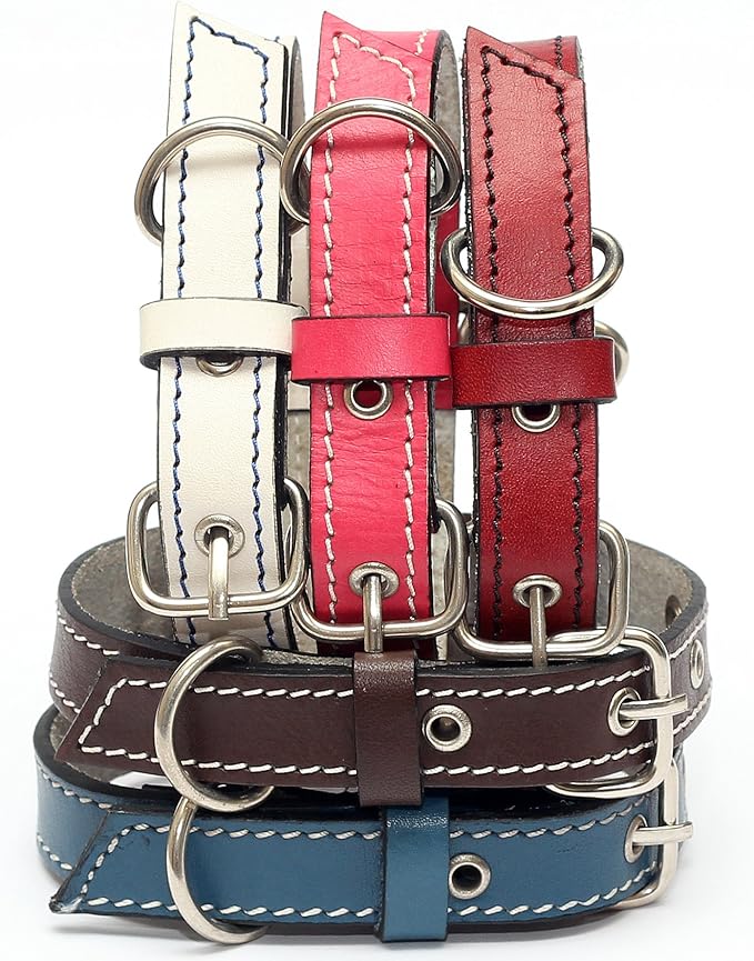 Premium Leather Collars with Stainless Steel Buckles (9"-12", Red)