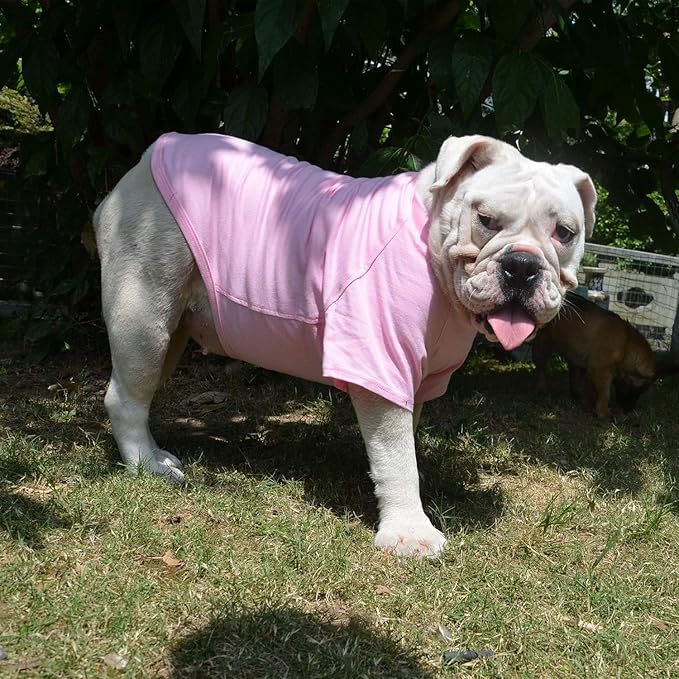 Lovelonglong Bulldog Clothes Dog Clothing Blank T-Shirt Tee Shirts for French Bulldog English Bulldog American Pit Bull Pugs 100% Cotton Skin Care Pink B-S