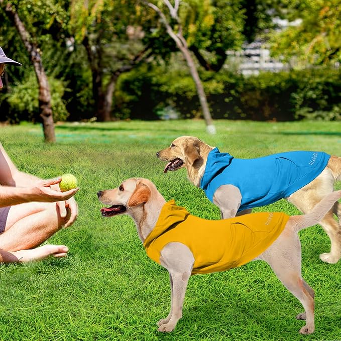 2 Pieces Basic Dog Hoodie, Premium Spring Summer Dog Vest Sweatshirt with Pocket & Leash Hole, Soft & Comfy Puppy Sweatshirt Suitable for All Small Medium Large Breeds, Blue + Yellow(XX-Large)