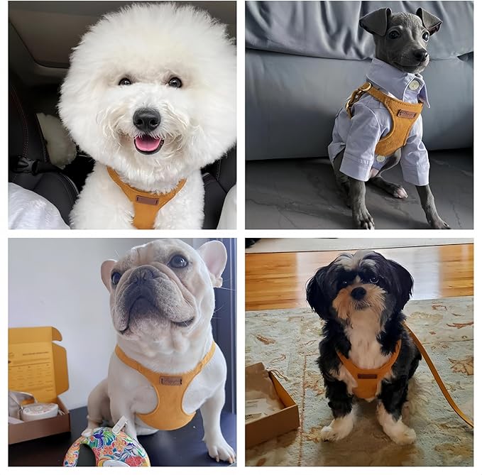 Puppytie No Pull Small Dog Harness with Multifunction Dog Leash,Lightweight Soft Adjustable No Choke Escape Proof Pet Harness Vest Pet Harness Vest,S,Yellow