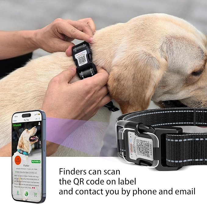 Dog Collar with QR Code, Reflective Dog Collar, Soft Neoprene Padded & Safety Locking Buckle Adjustable Pet Collar (Black, Small)