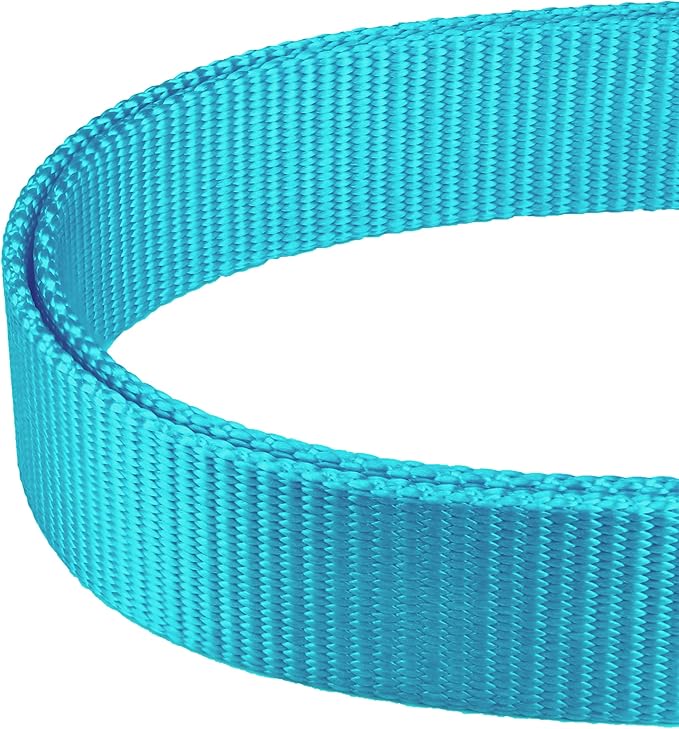 Mikivery Martingale Dog Collar Nylon Adjustable and Safety Training Colourful Comfortable Metal Buckle Pet Collars for Small Medium and Large Dogs(Ice Blue,M)